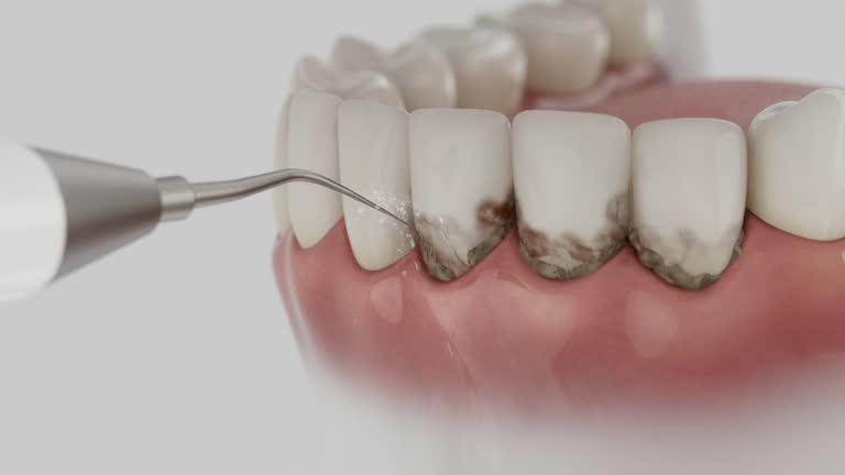 Reliable Dental contractor in Billings County County, ND by Dentist Open Now